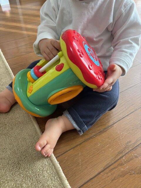 お気に入りのおもちゃで遊ぶ